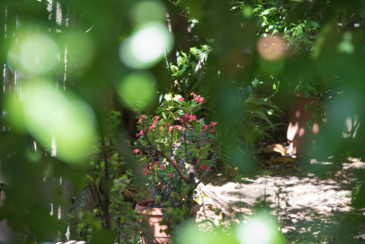 Casa Dina Daire Lefkáda Dış mekan fotoğraf