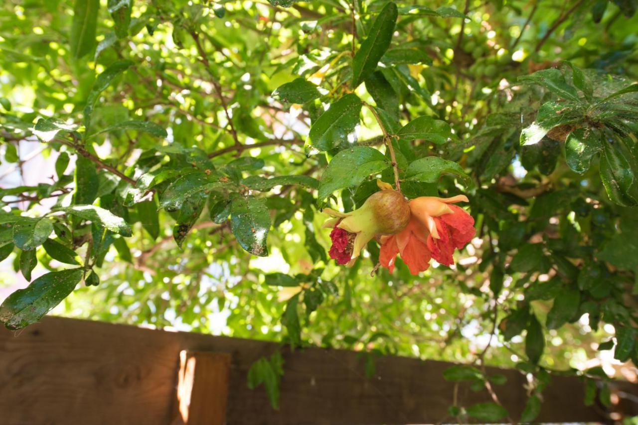 Casa Dina Daire Lefkáda Dış mekan fotoğraf